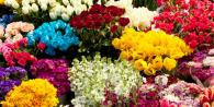 Как правильно сохранить цветы в вазе — Лайфхаки